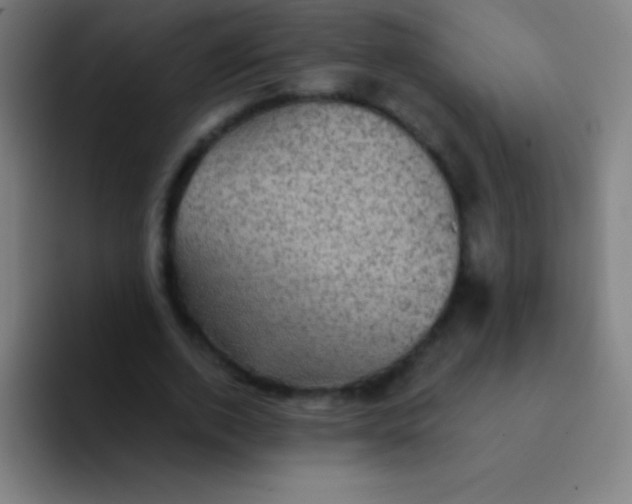 X0000094350728200711162029