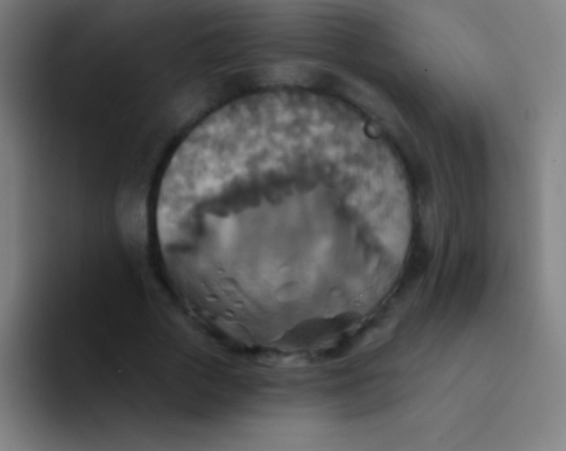 X0000094350729200711162029