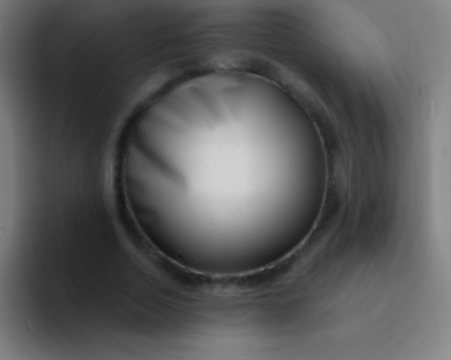 X0000094350730200711162029