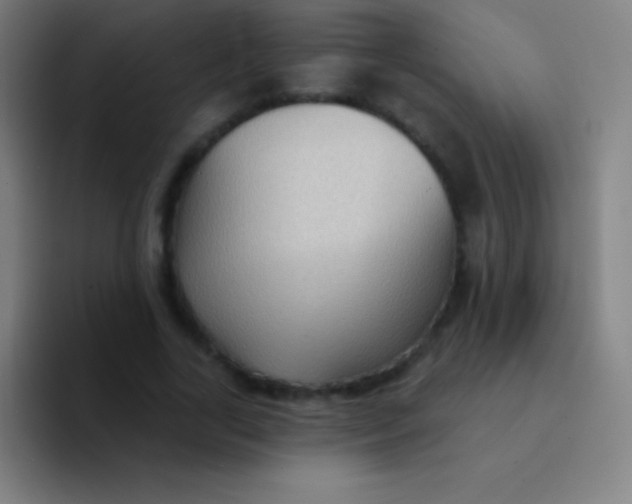 X0000094350731200711162029