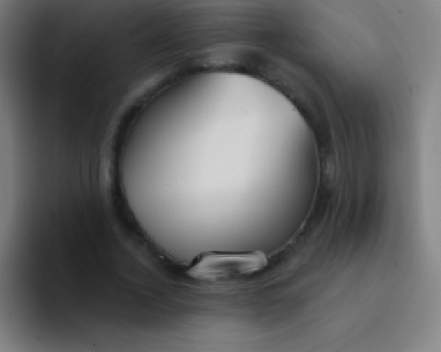 X0000094350732200711162029