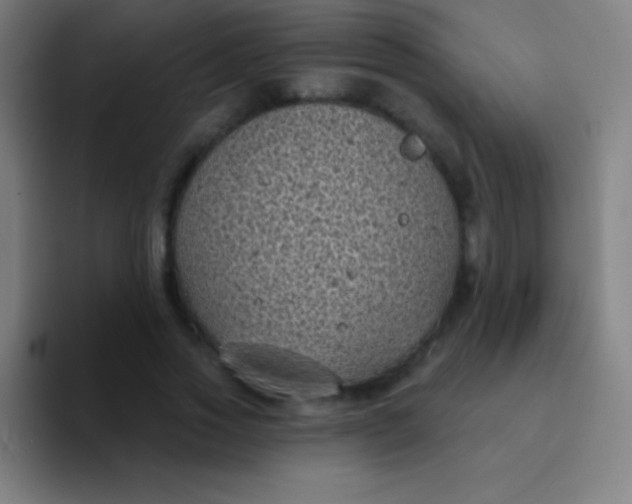 X0000094350733200711162029