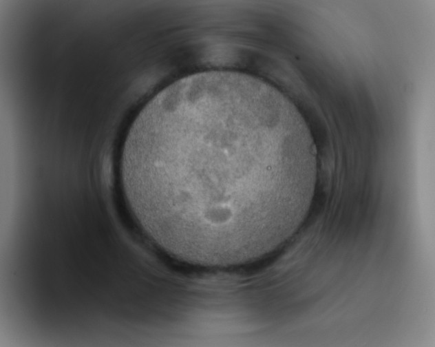 X0000094350734200711162029