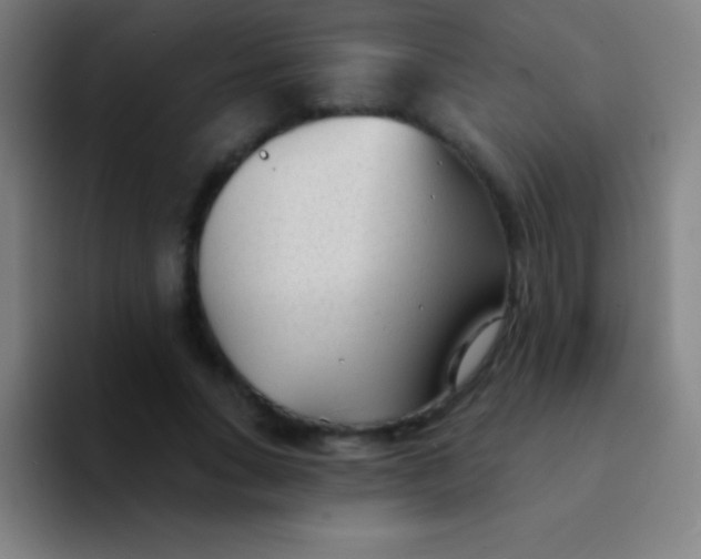 X0000094350735200711162029