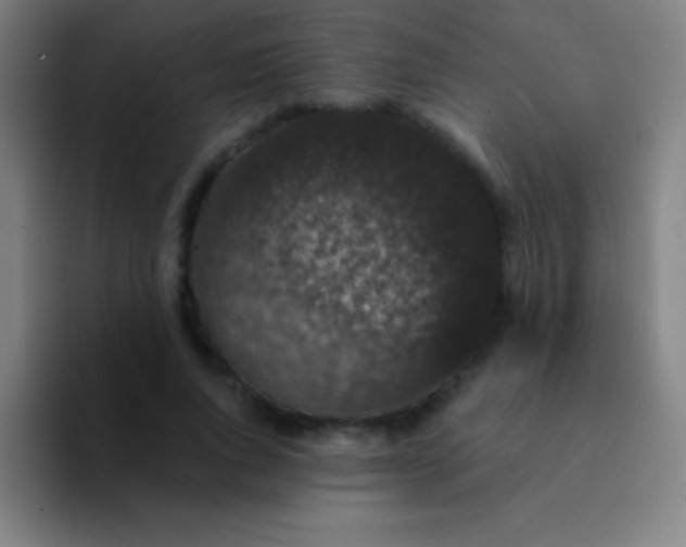 X0000094350736200711162029