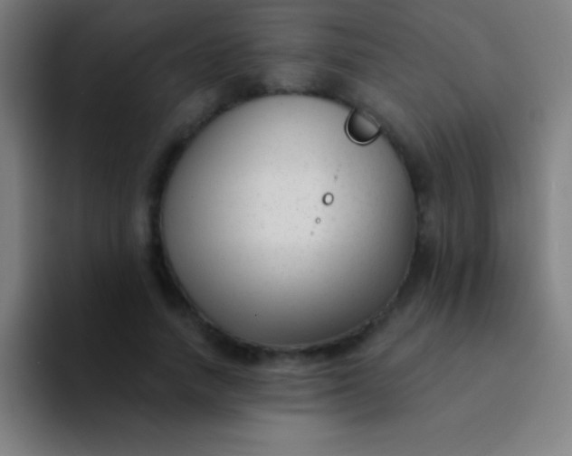 X0000094350738200711162029