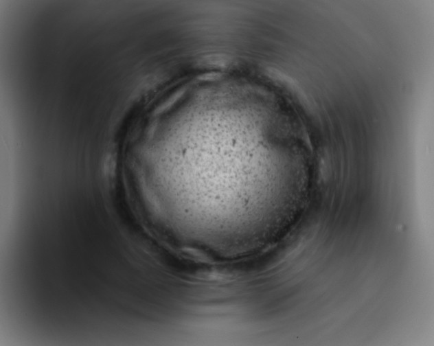 X0000094350739200711162029