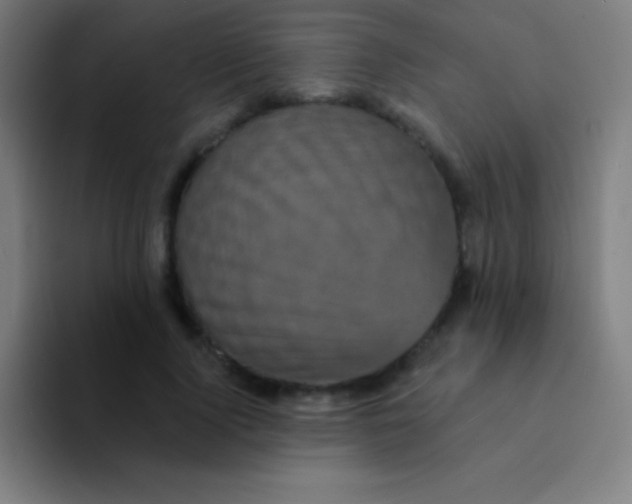 X0000094350740200711162029