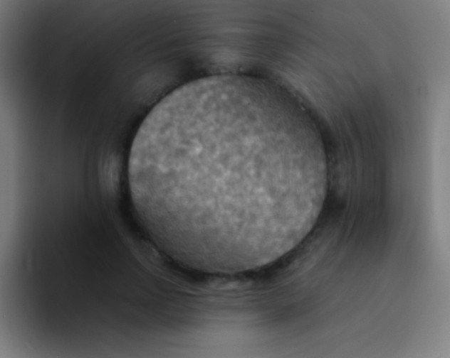 X0000094350742200711162029