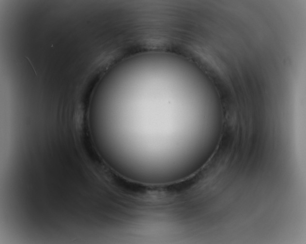 X0000094350744200711162029