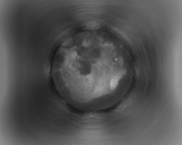 X0000094350745200711162029