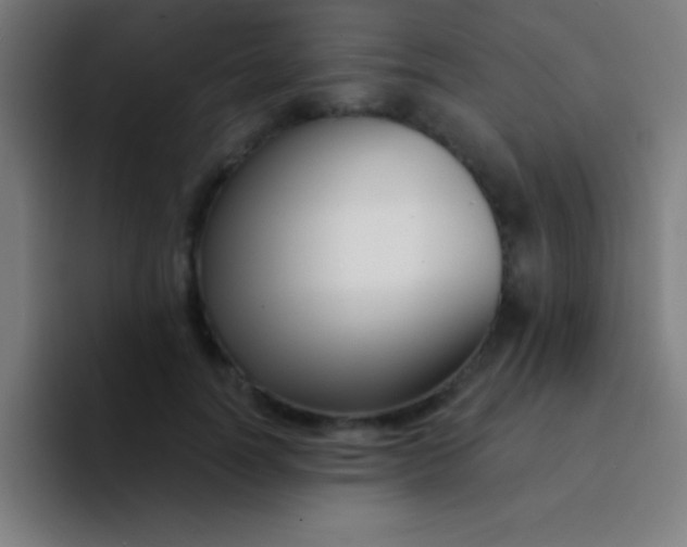 X0000094350746200711162029