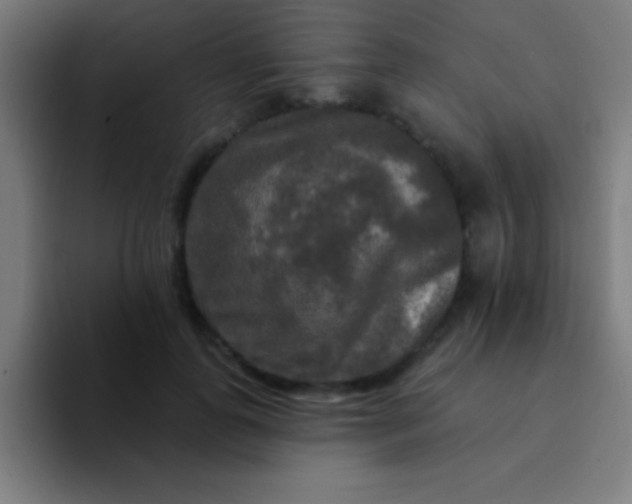 X0000094350747200711162029