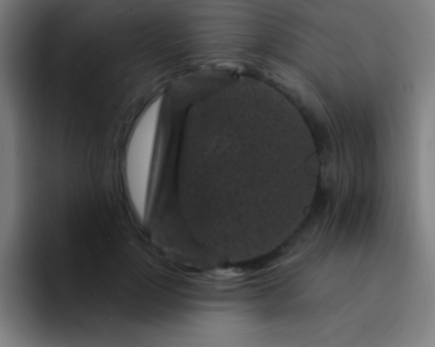 X0000094350748200711162029