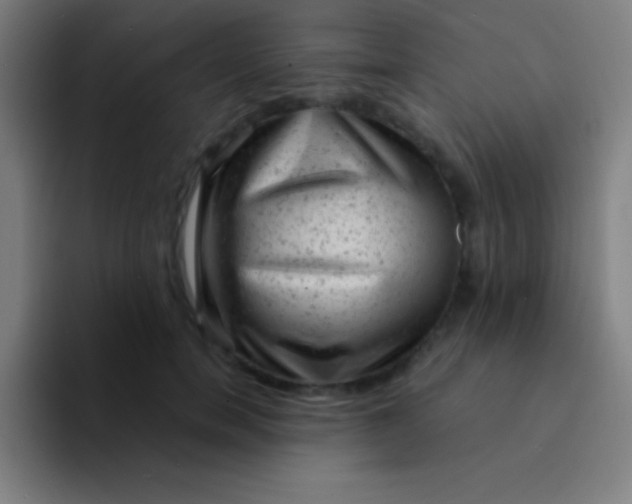 X0000094350750200711162029