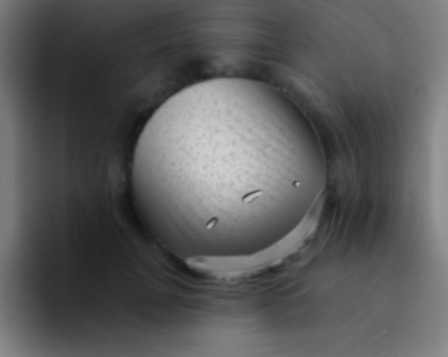 X0000094350751200711162029