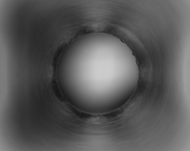 X0000094350752200711162029