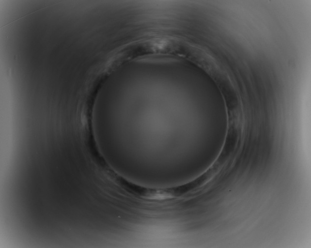 X0000094350754200711162029