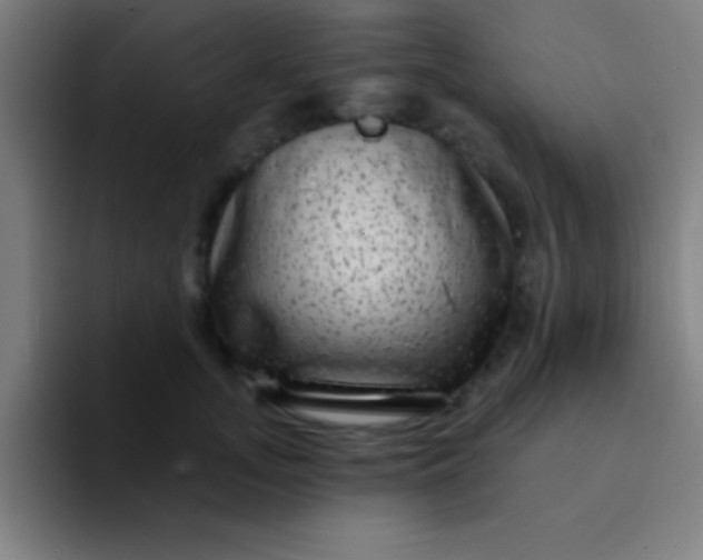 X0000094350755200711162030