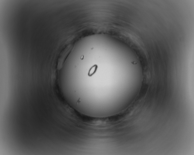 X0000094350756200711162030