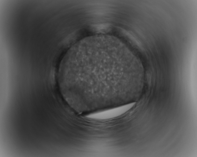 X0000094350757200711162030