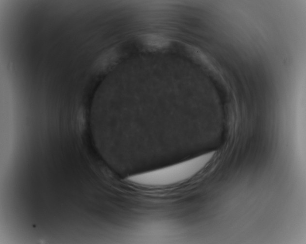 X0000094350758200711162030