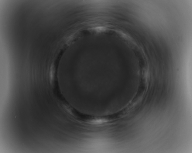 X0000094350760200711162030