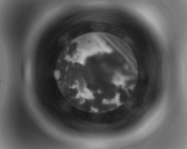 X0000094350765200711162030