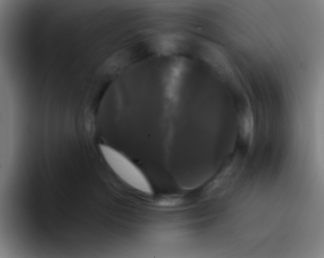 X0000094350766200711162030