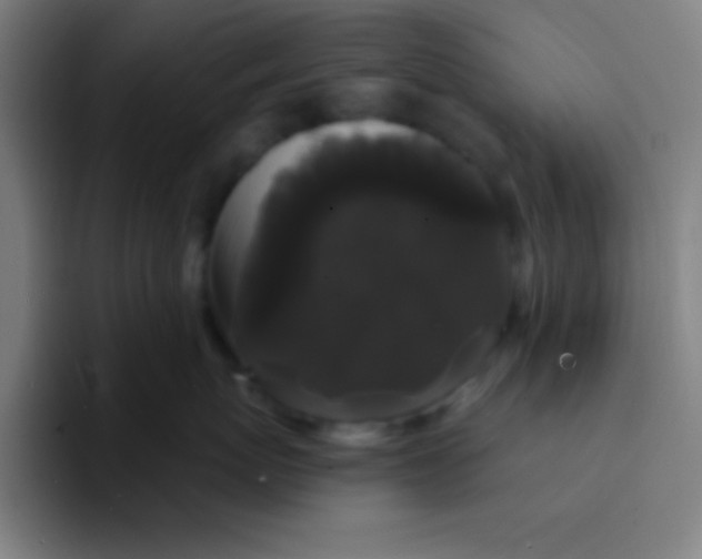 X0000094350767200711162030