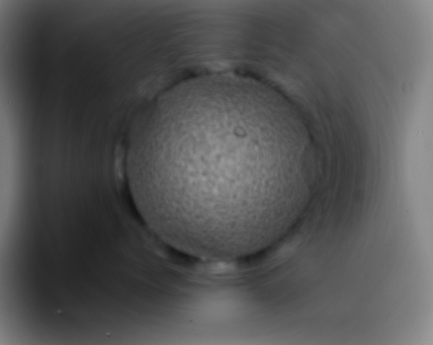 X0000094350768200711162030