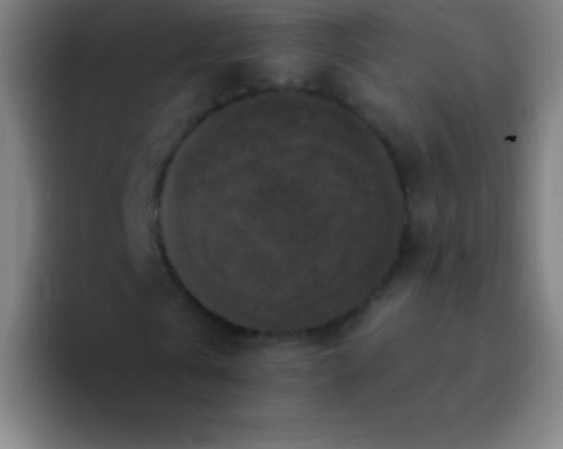 X0000094350769200711162029