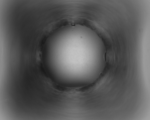 X0000094350770200711162029