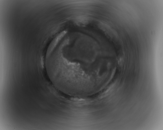 X0000094350772200711162029