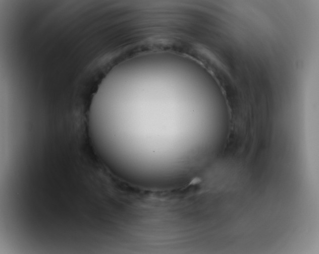 X0000094350773200711162029