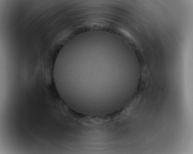 X0000094350774200711162029