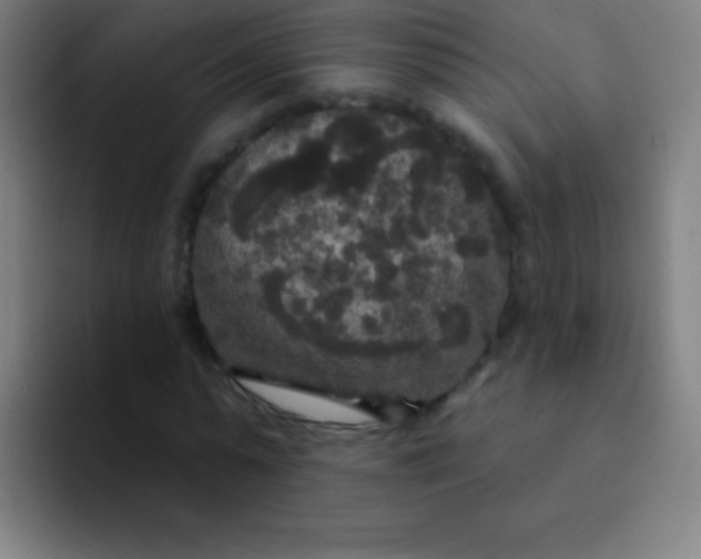 X0000094350775200711162029