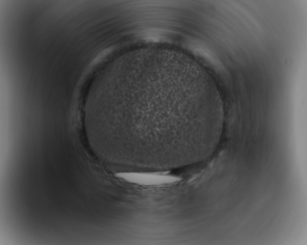 X0000094350776200711162029