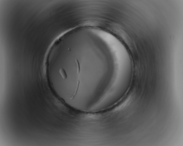 X0000094350779200711162029