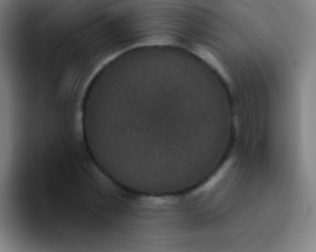 X0000094350781200711162029