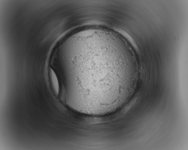 X0000094350783200711162029