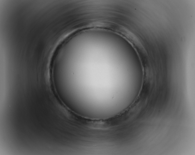 X0000094350784200711162029