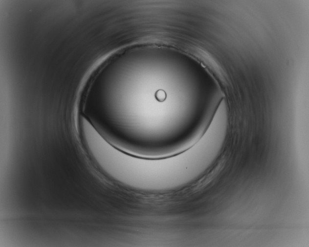 X0000094350788200711162029