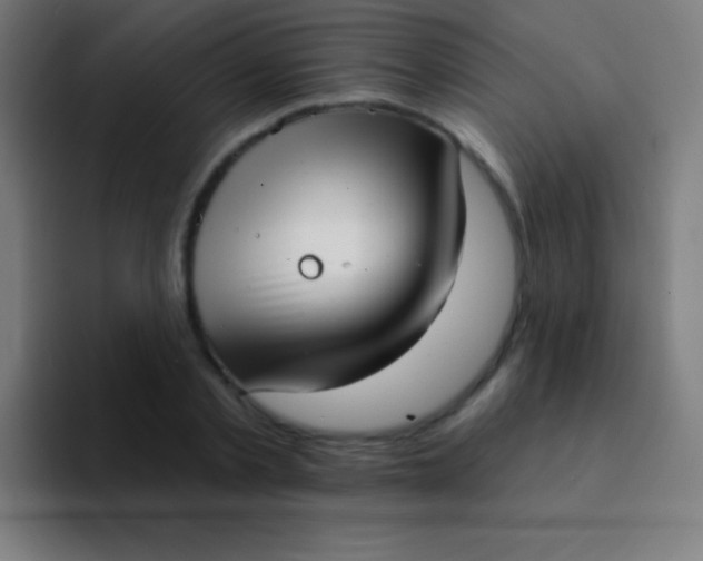 X0000094350789200711162029