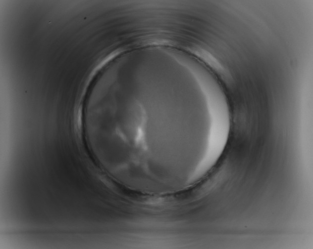 X0000094350790200711162029