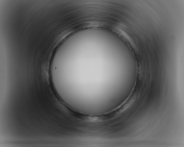 X0000094350794200711162029