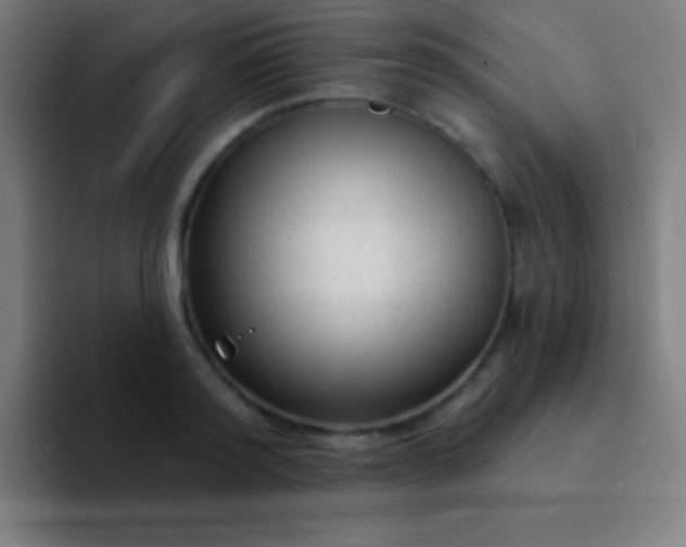 X0000094350796200711162029