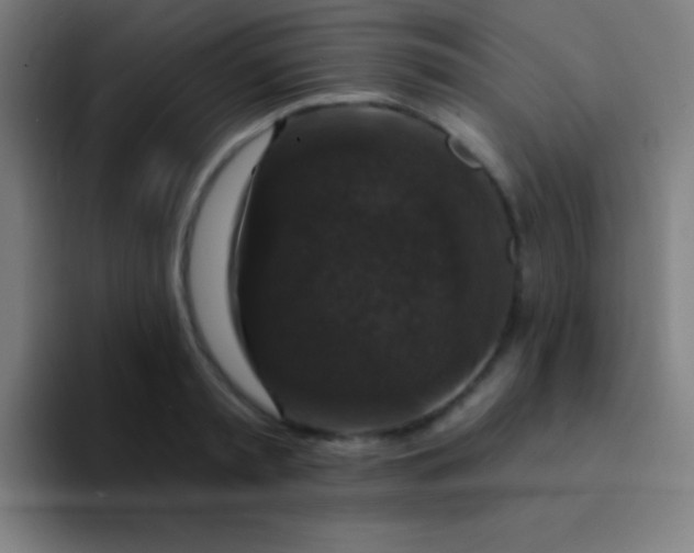 X0000094350797200711162029