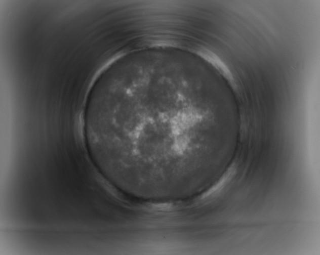 X0000094350798200711162029