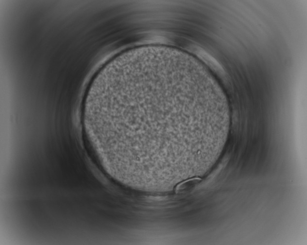 X0000094350800200711162029